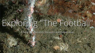 The words Exploring the Football over a picture of a coral with polyps attached to rock covered with sediment