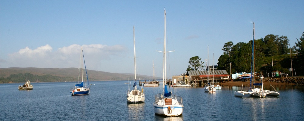 vessels along the shore of tomales bay