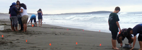 Sandy Beach Monitoring