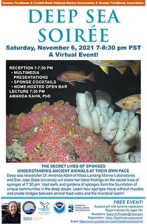 flyer for the deep see soiree