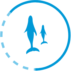 two whales swimming together icon