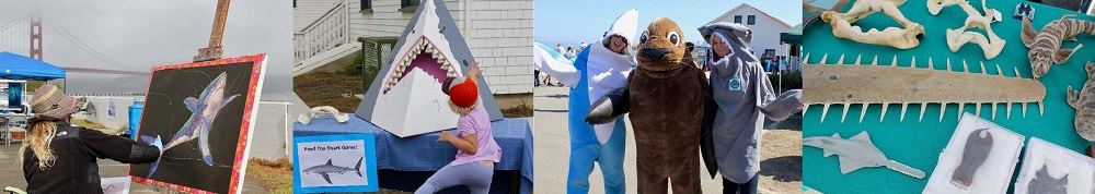 collage of images: woman painting a shark, a kid playing with a shark replica, people dressed up as sharks and as a seal and shark cartilage and models on a table