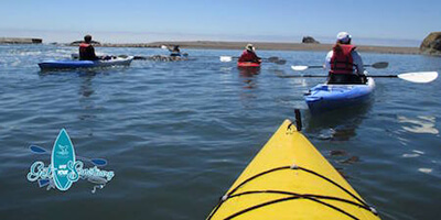 A group of kayakers