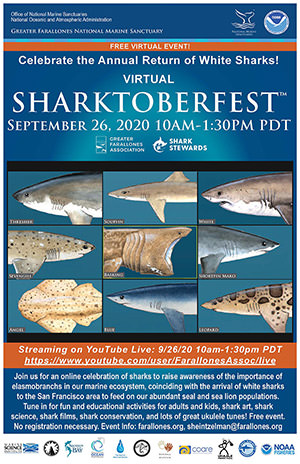 2020 Sharktoberfest poster