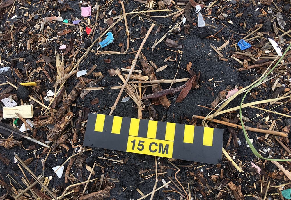 many plastic fragments on beach with a measuring stick to determine the size of the debris