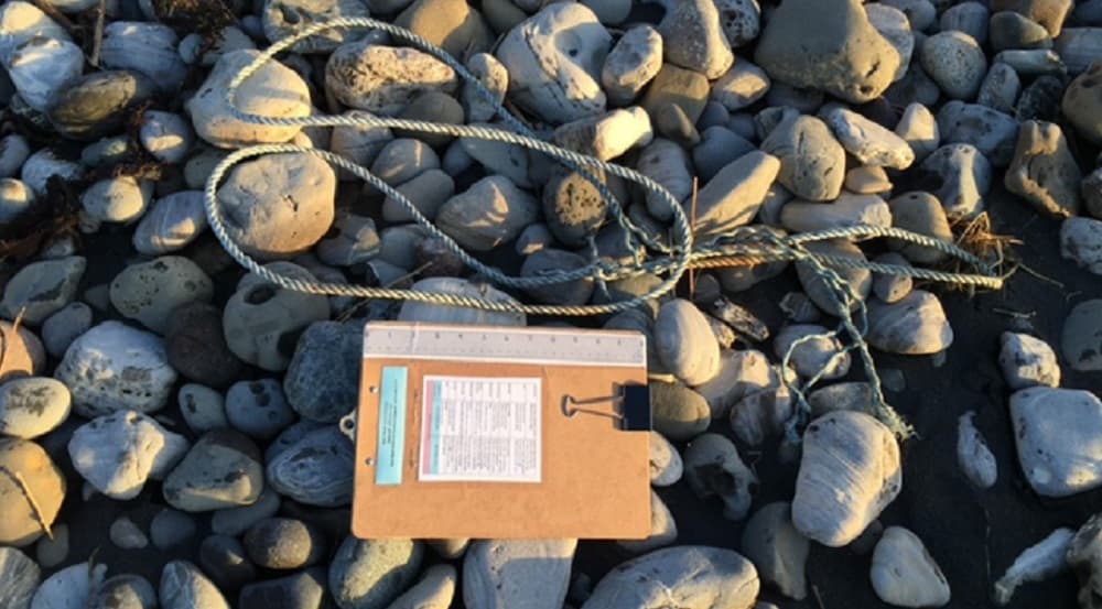 Plastic rope next to a clipboard on a rocky shore.