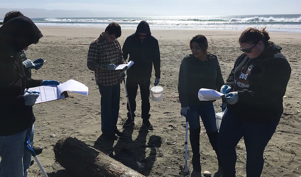 Student volunteers conducting a marine debris beach survey