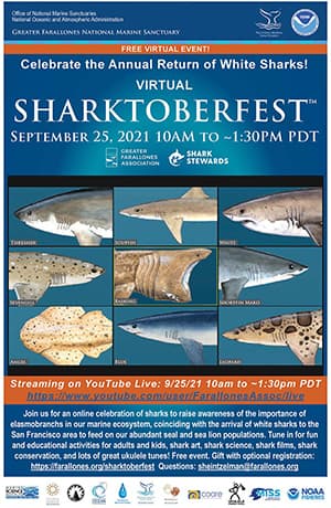 2021 Sharktoberfest poster