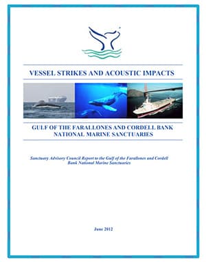 Cover of VESSEL STRIKES AND ACOUSTIC IMPACTS report
