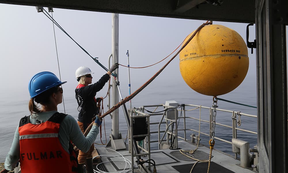 Two women researchers are managing lines for a large mooring to be placed in the ocean.