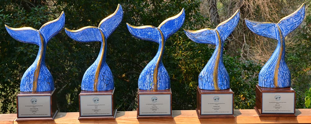 WhaleTail awards