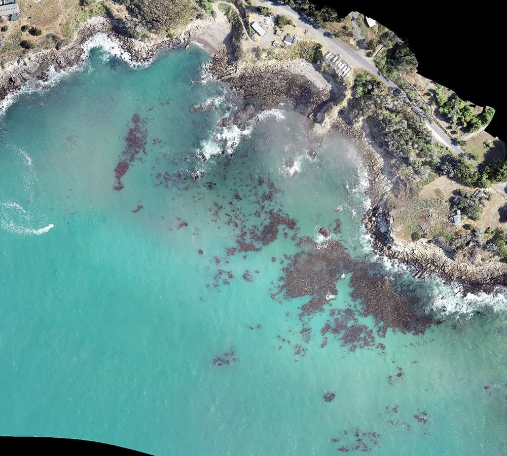 An aerial view of a coastline. The top of kelp canopies can be seen within the water.