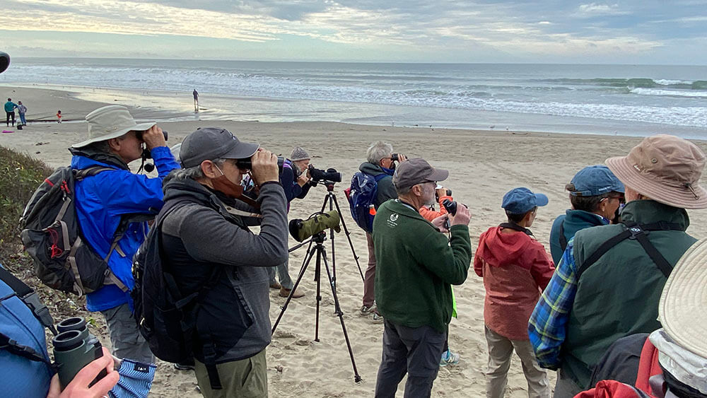 people looking through binoculars and spotting scopes on the sand looking towards the ocean