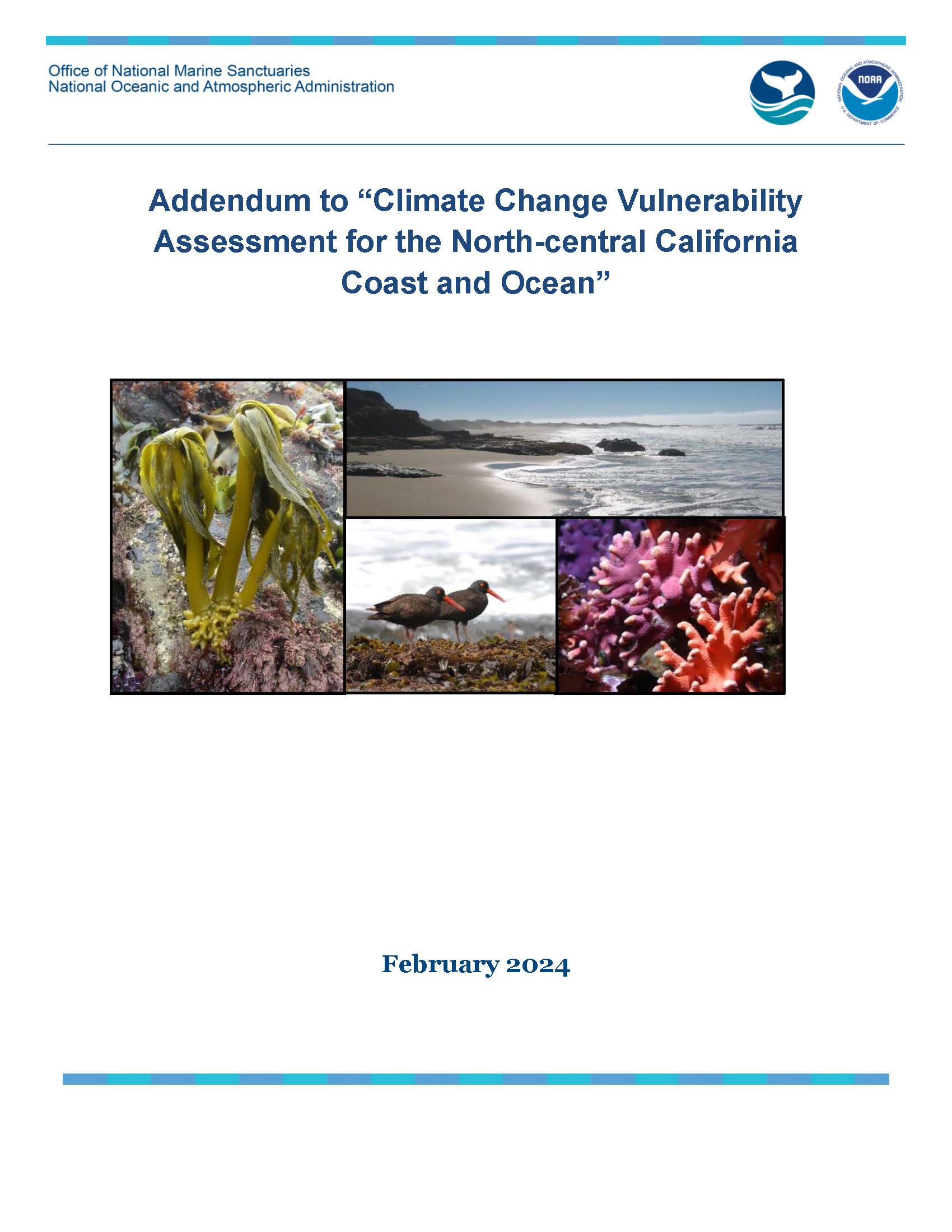 cover of document with marine life images of sea palm algae, ocean and shoreline, black oystercatcher, and pink hydrocoral