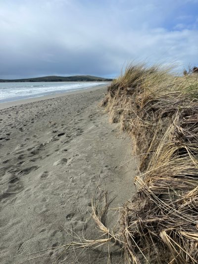 picture of eroded dune, sandy beach and ocean