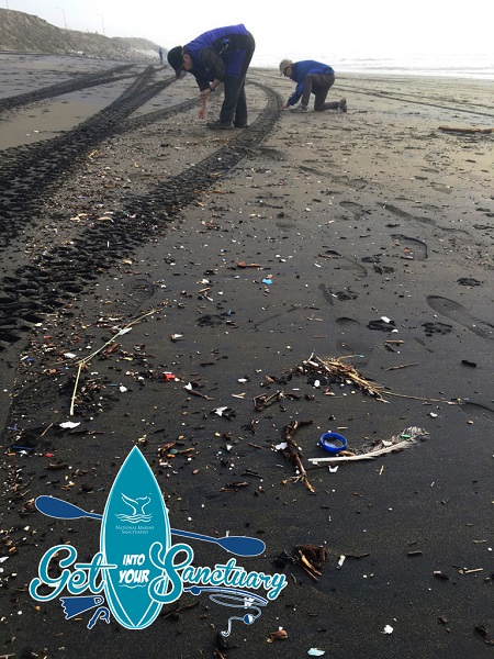 people cleaning up marine debris on the beach