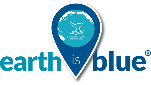 earth is blue logo
