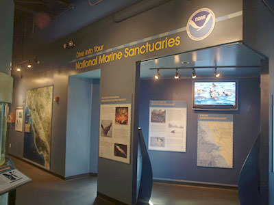 photo of the Dive Into Your National Marine Sanctuaries exhibit at the Aquarium of the Bay