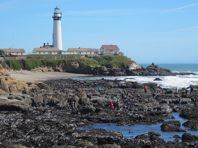 rocky shore with pigeon point lighthouse in the background