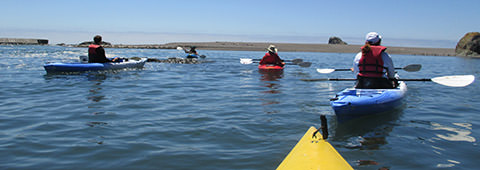 kayaks in russian river